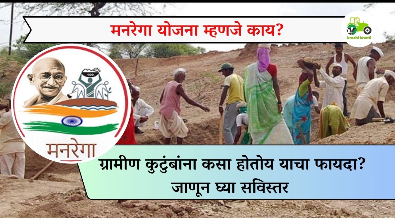 मनरेगा योजना