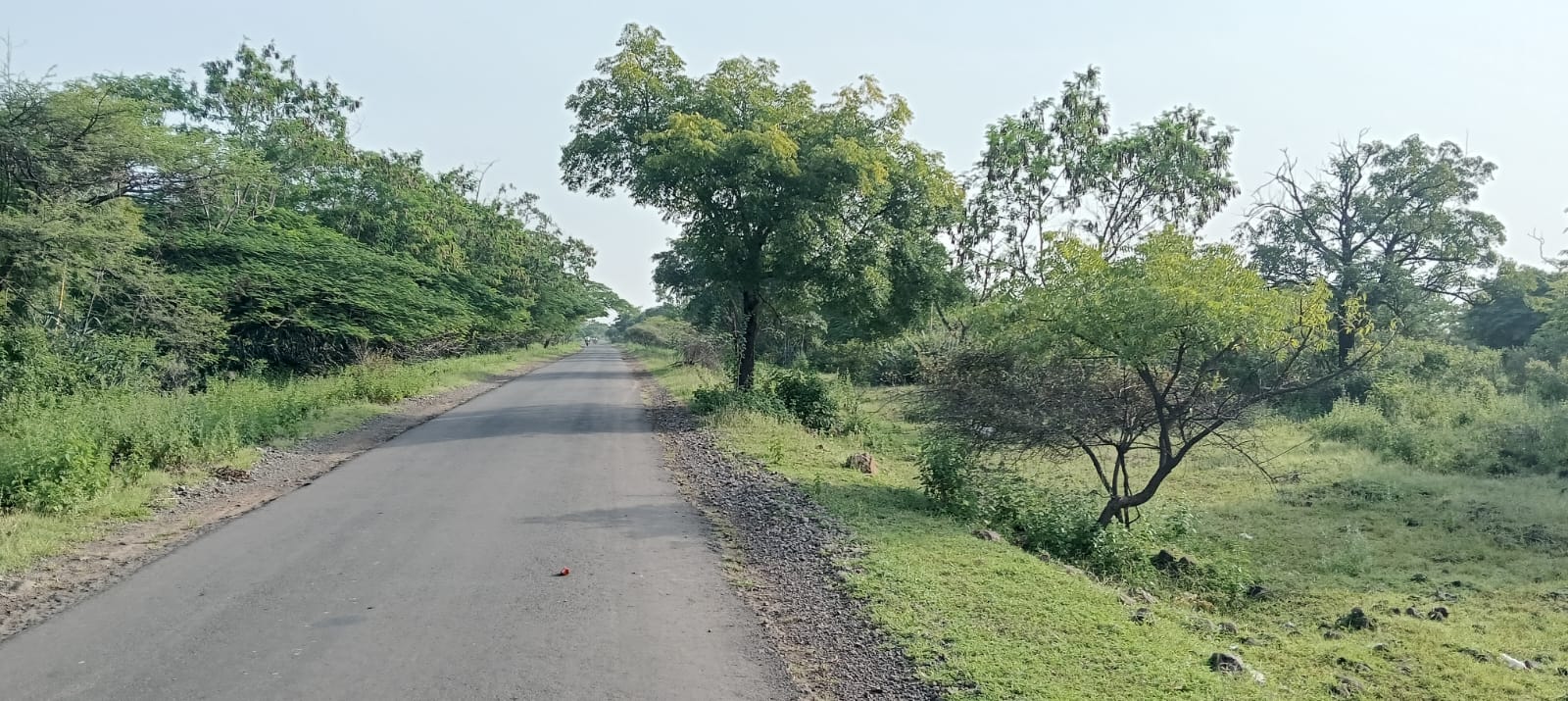 सडक सुधारणा